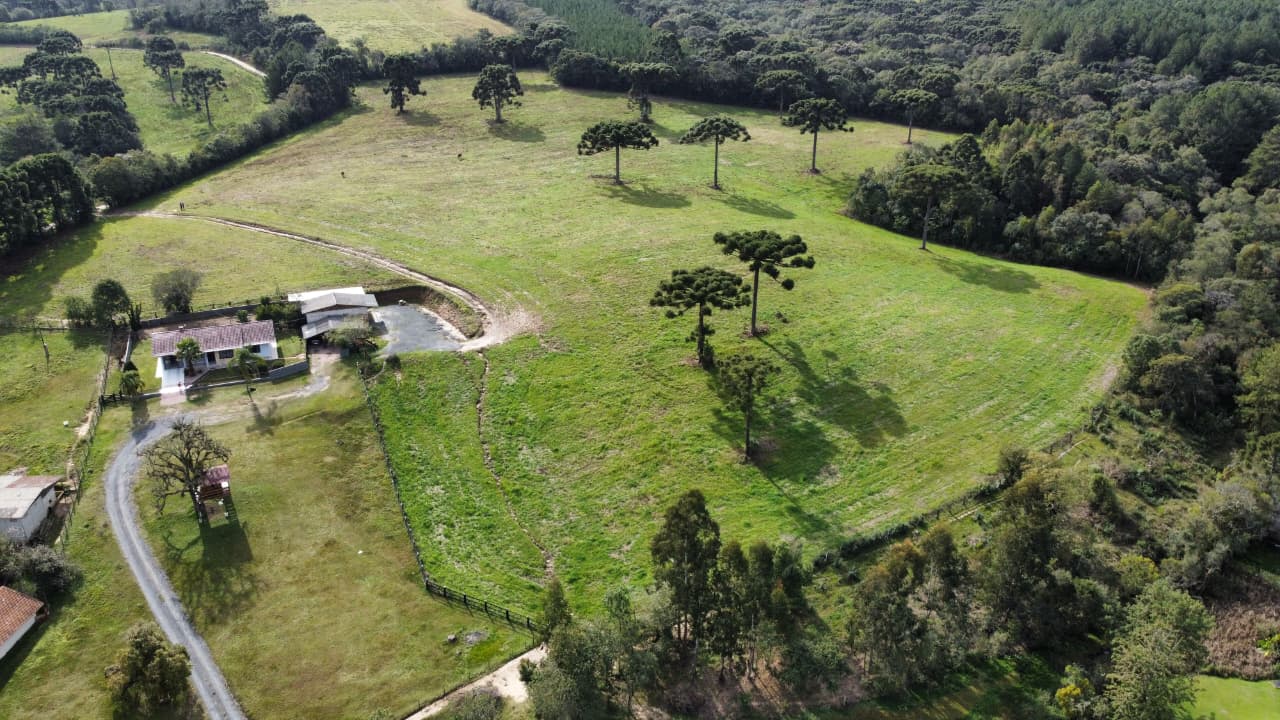 Terreno / Comercial